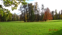 IMG_7594.jpg, 27kB
